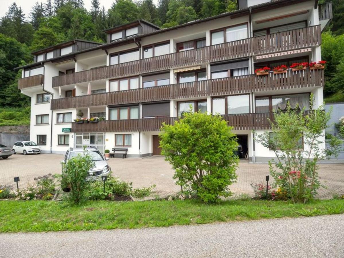 Gib Mir Funf! Ferienwohnung In St. Blasien Bagian luar foto
